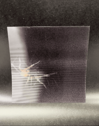 【호화 특장판】『공포심전』