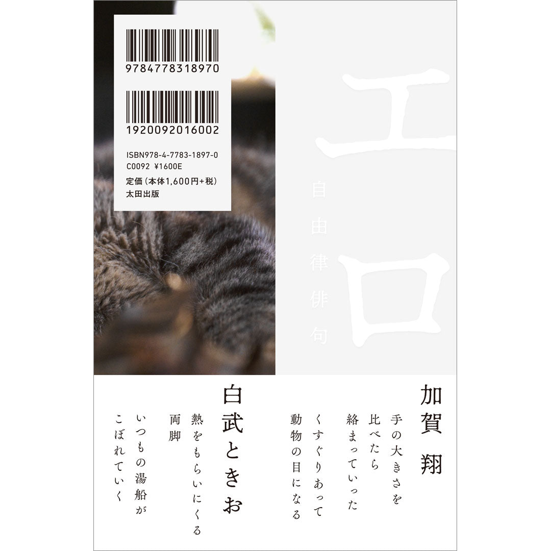 【100권 매진 사례】카가 쇼·시라타케 때 사인들이 “코를 먹는 시간”