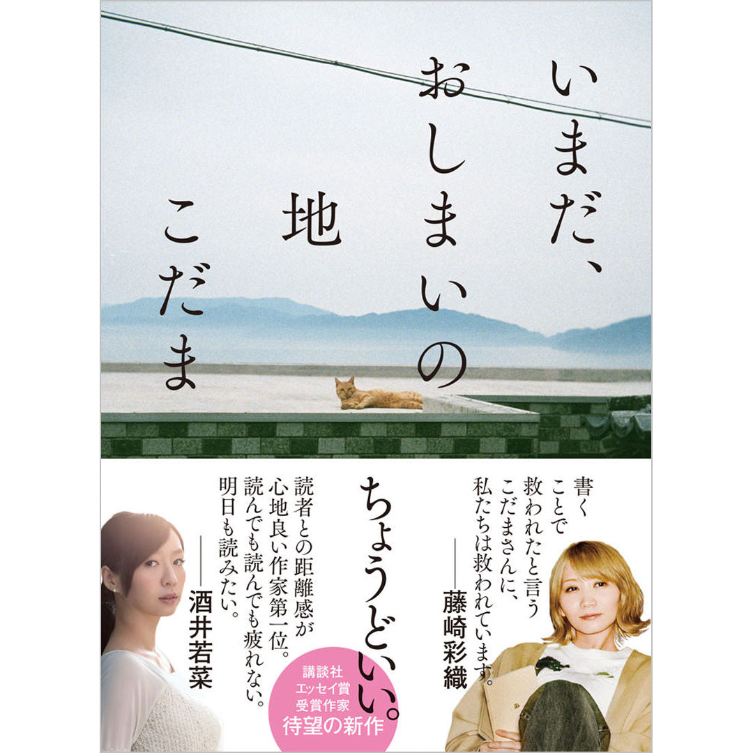 数量限定】『いまだ、おしまいの地』こだま直筆サイン本／特製ペーパー 