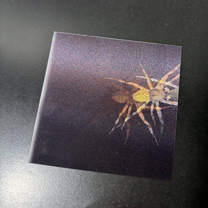 【호화 특장판】『공포심전』