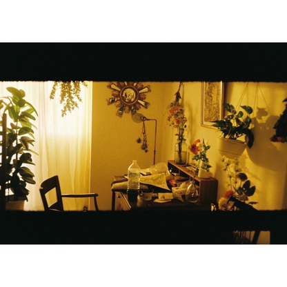 森田美勇人写真展『目の前のこと』写真パネル