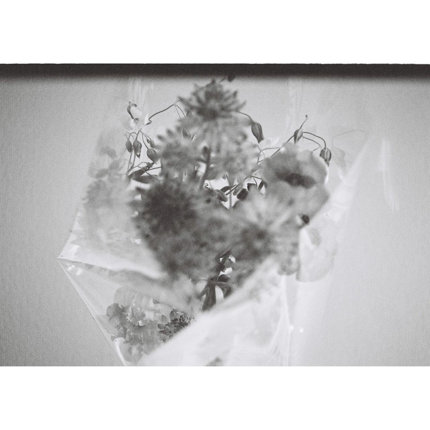 森田美勇人写真展『目の前のこと』写真パネル