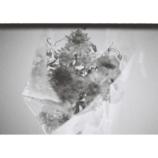 森田美勇人写真展『目の前のこと』写真パネル