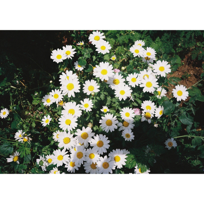 森田美勇人写真展『目の前のこと』写真パネル