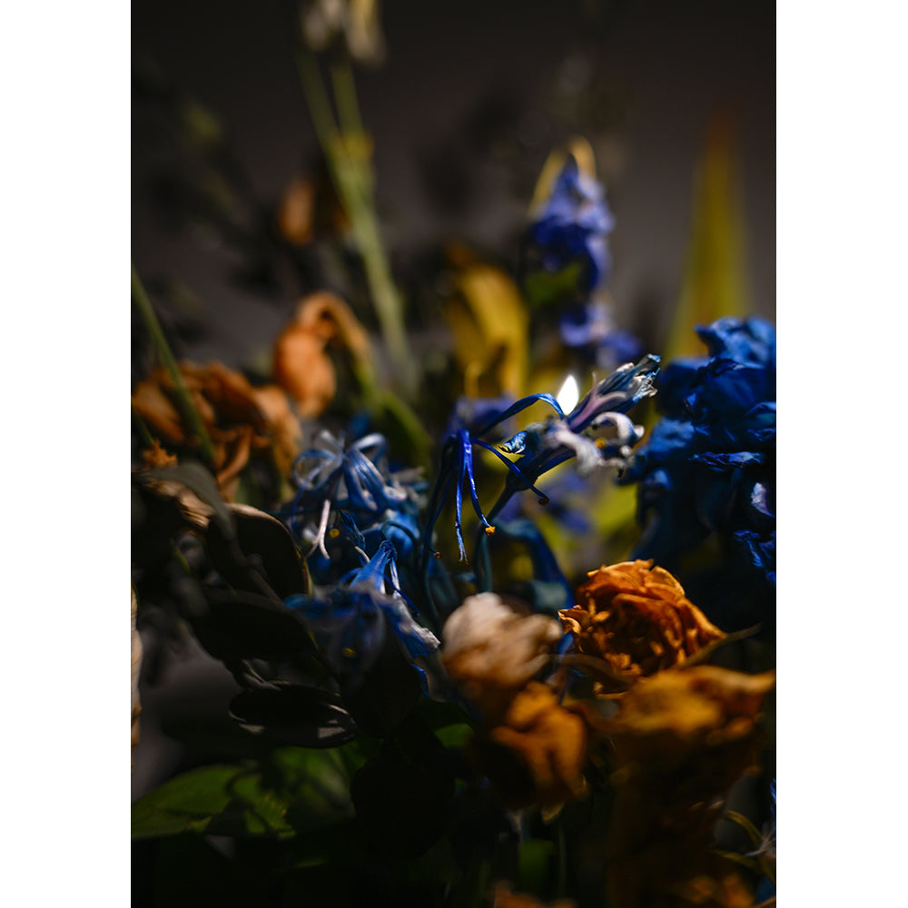 【直筆サイン入り】蒼井嵐樹 写真パネル #9「発色」