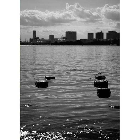 【直筆サイン入り】蒼井嵐樹 写真パネル #10「憧れ」