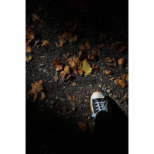 【直筆サイン入り】蒼井嵐樹 写真パネル #14「歩み」