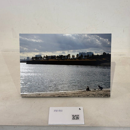 【直筆サイン入り】蒼井嵐樹 写真パネル #1「理想」