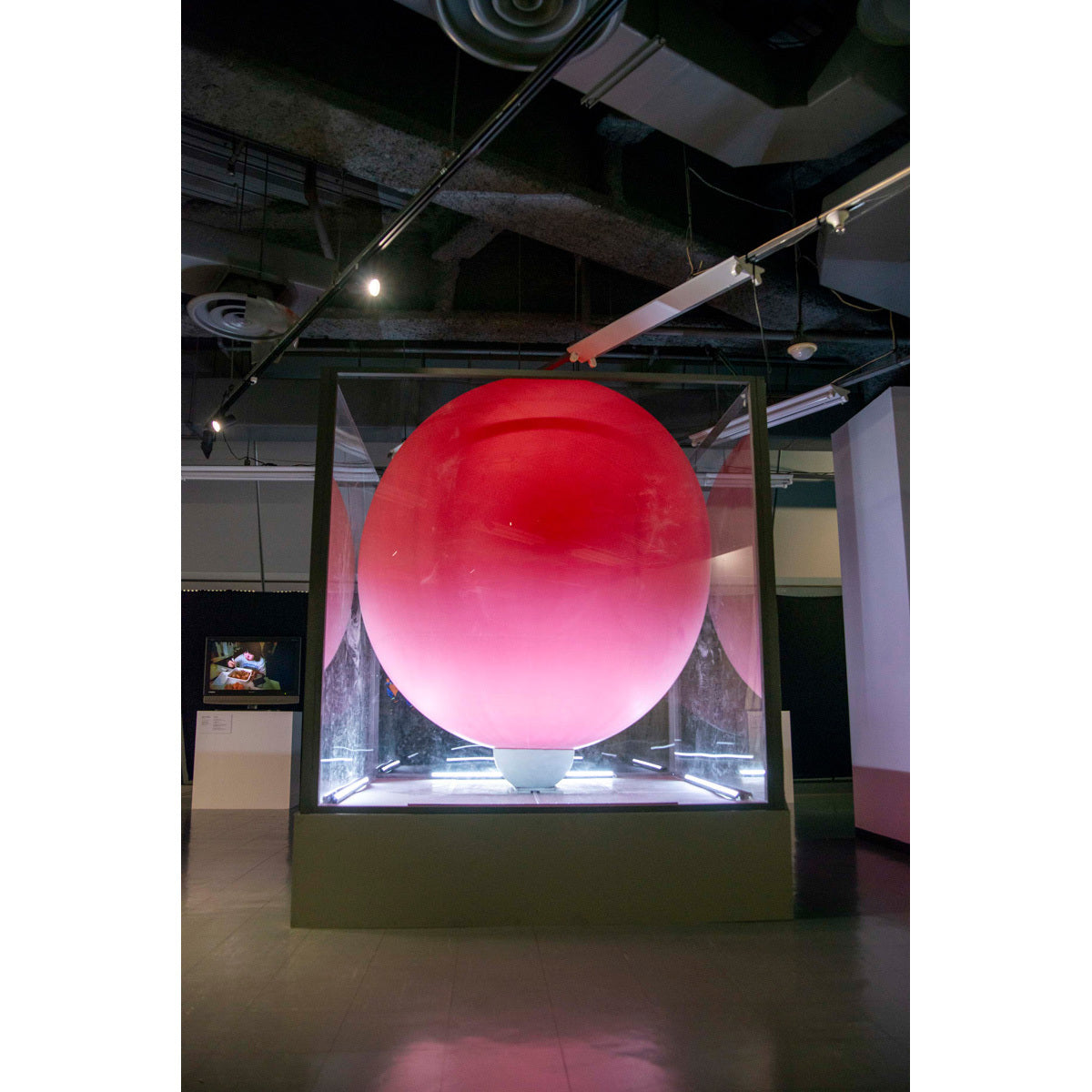 【豪華特装版】『恐怖心展』