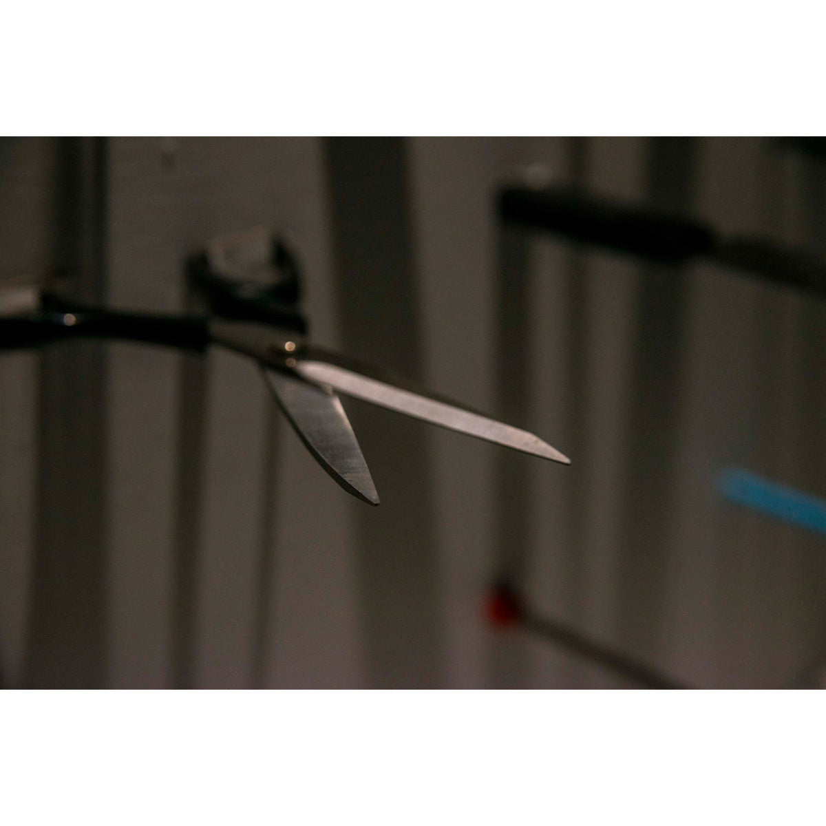 【豪華特装版】『恐怖心展』