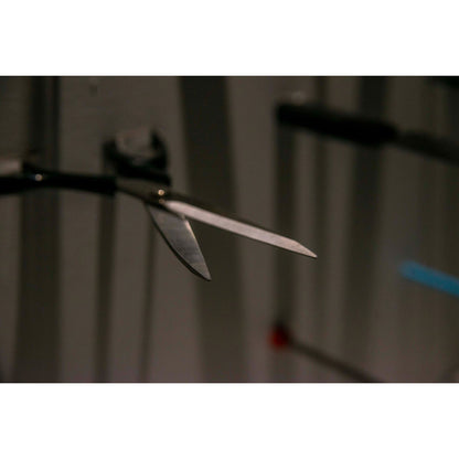 【豪華特装版】『恐怖心展』