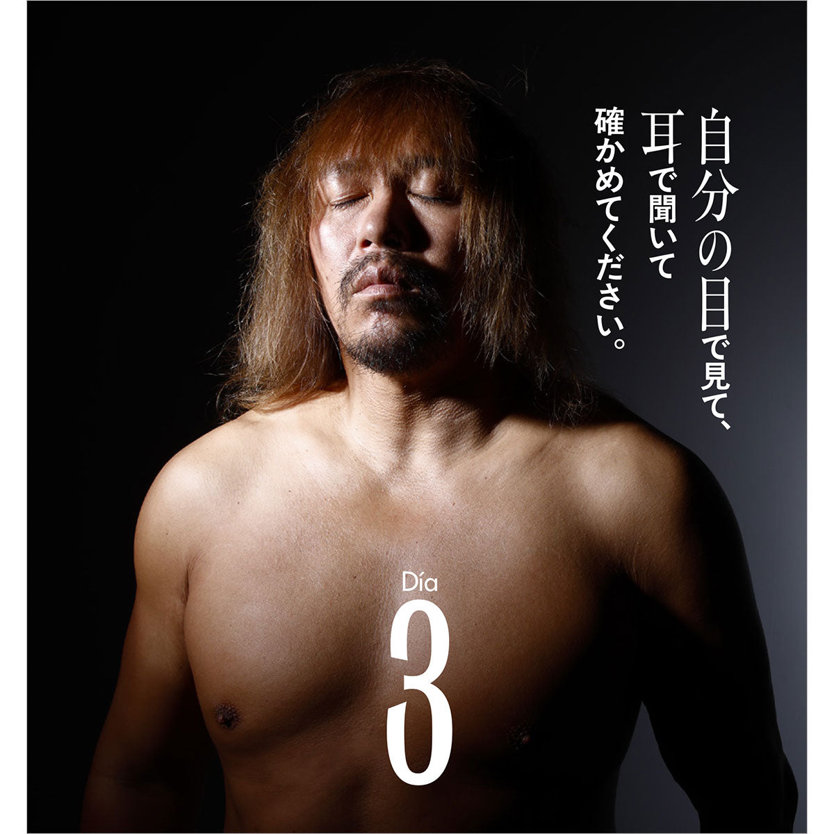 限定ミニカード付き】『内藤哲也デビュー20周年アニバーサリー日めくり
