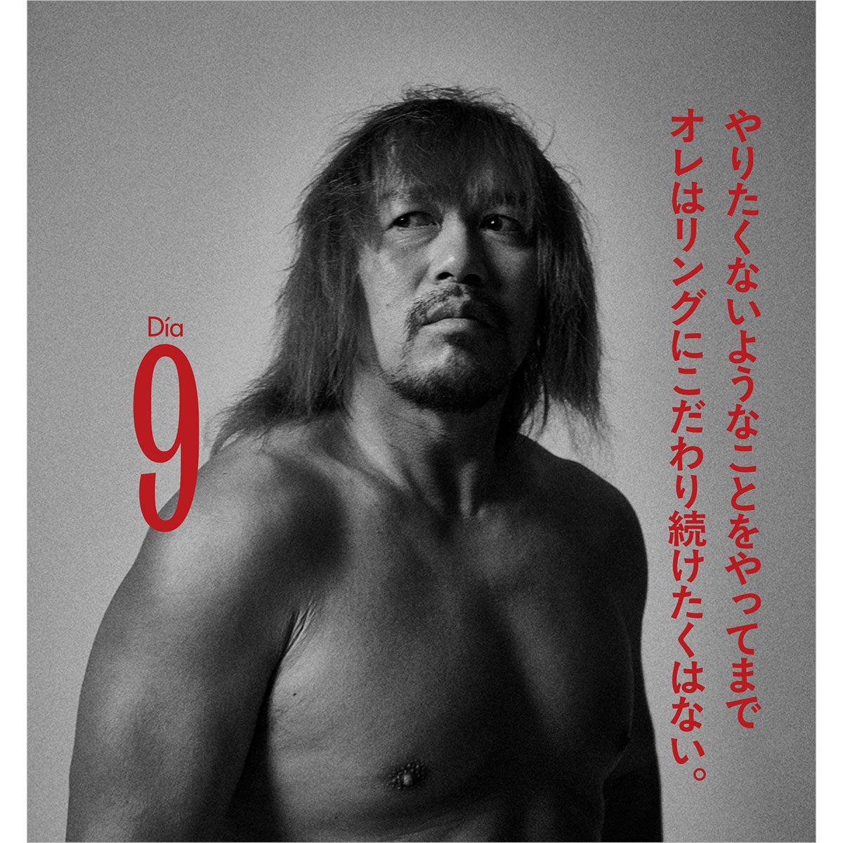 限定ミニカード付き】『内藤哲也デビュー20周年アニバーサリー日めくり
