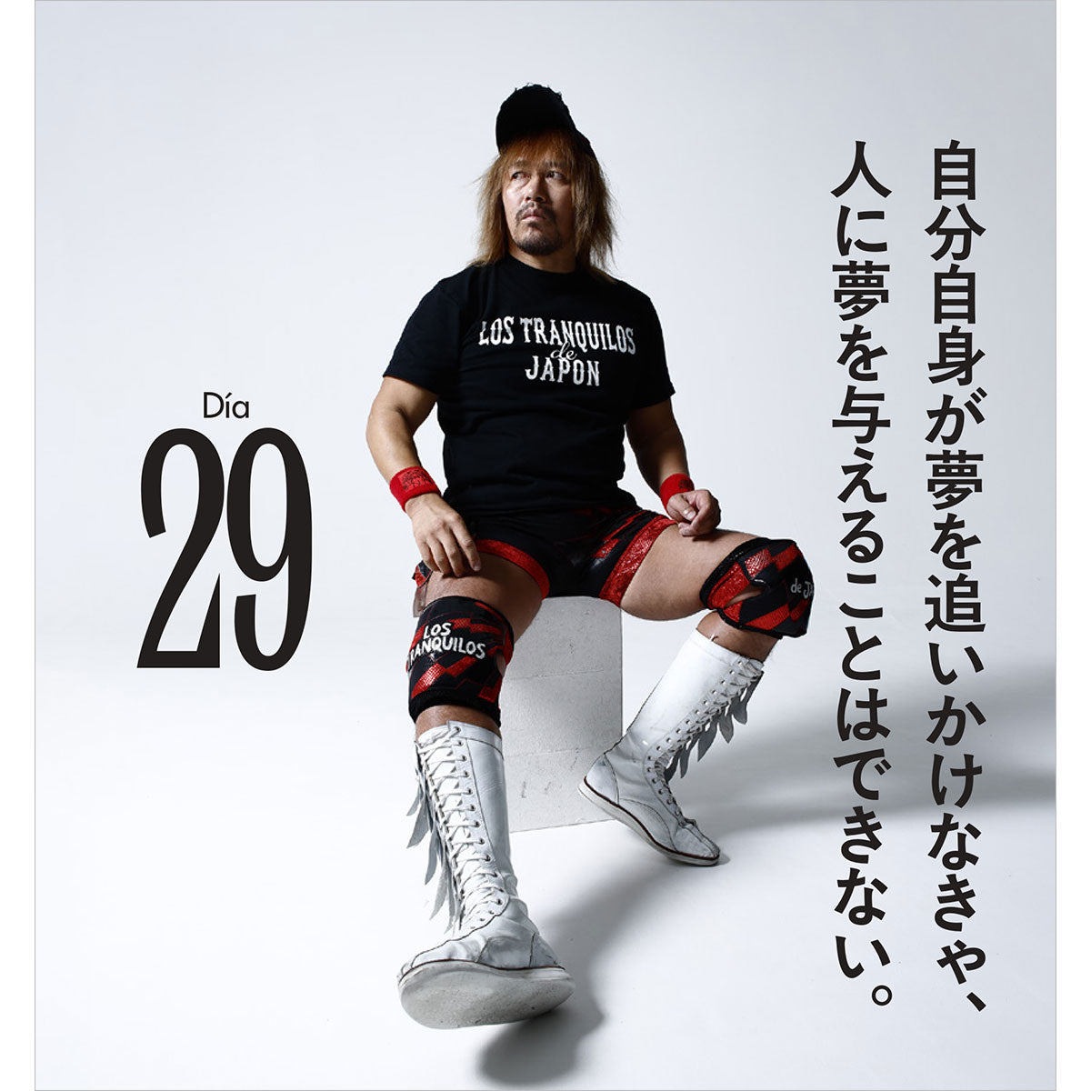 限定ミニカード付き】『内藤哲也デビュー20周年アニバーサリー日めくり
